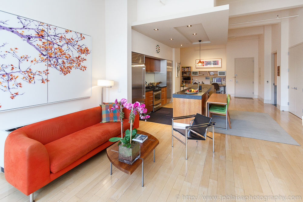 Real-Estate-Photographer-williamsburg-loft-brooklyn-new-york-living-room (3)
