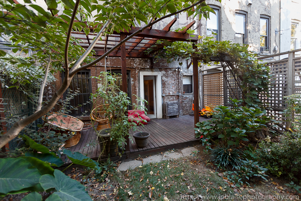Photography of garden of 3 bedroom apartment in Crown Heights, Brooklyn